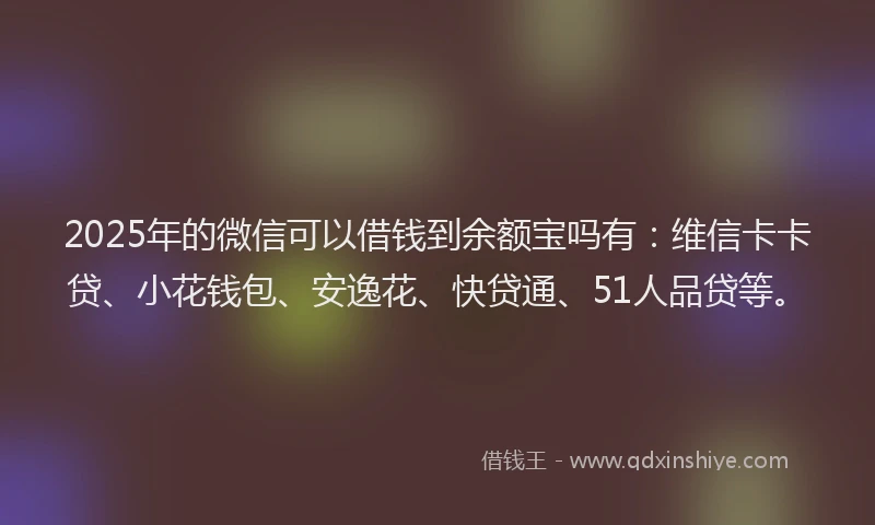2025年的微信可以借钱到余额宝吗有：维信卡卡贷、小花钱包、安逸花、快贷通、51人品贷等。
