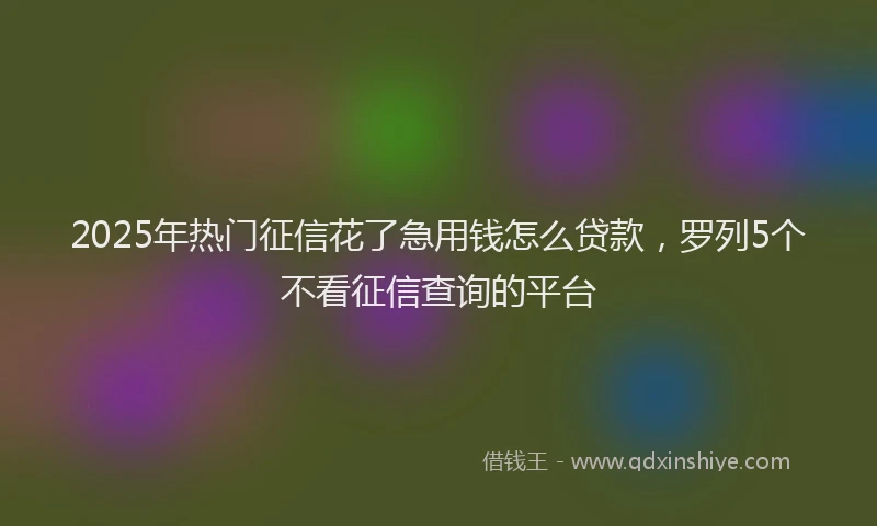 2025年热门征信花了急用钱怎么贷款，罗列5个不看征信查询的平台