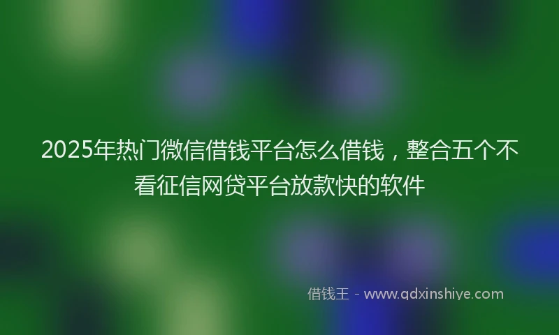 2025年热门微信借钱平台怎么借钱，整合五个不看征信网贷平台放款快的软件