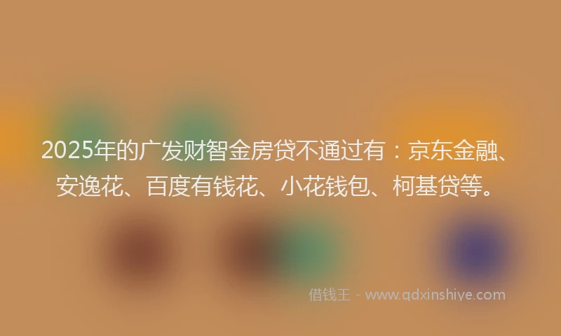 2025年的广发财智金房贷不通过有：京东金融、安逸花、百度有钱花、小花钱包、柯基贷等。
