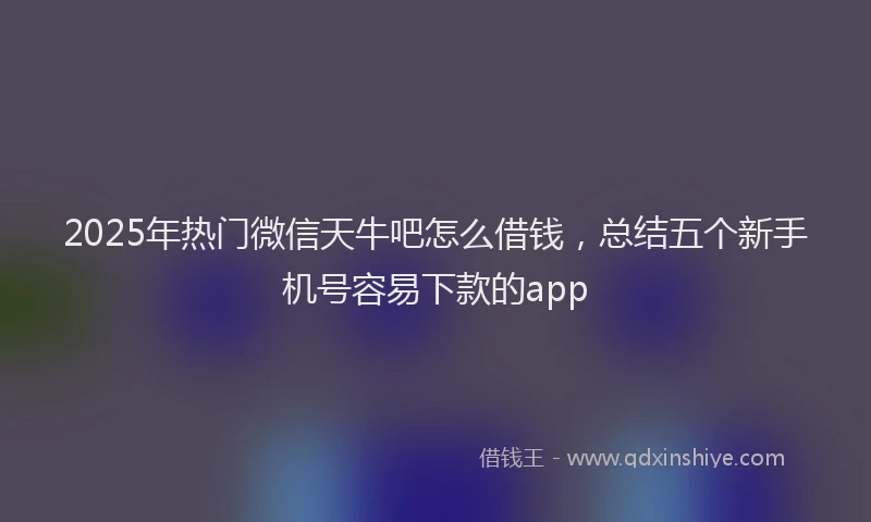 2025年热门微信天牛吧怎么借钱，总结五个新手机号容易下款的app