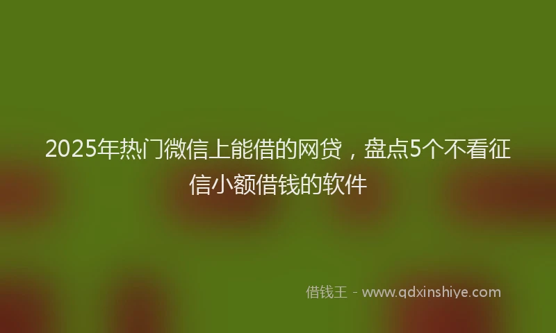 2025年热门微信上能借的网贷，盘点5个不看征信小额借钱的软件