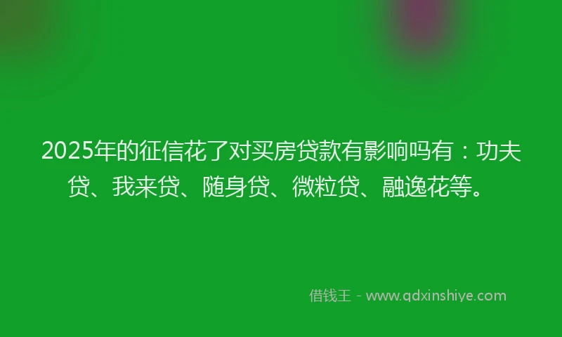 2025年的征信花了对买房贷款有影响吗有：功夫贷、我来贷、随身贷、微粒贷、融逸花等。
