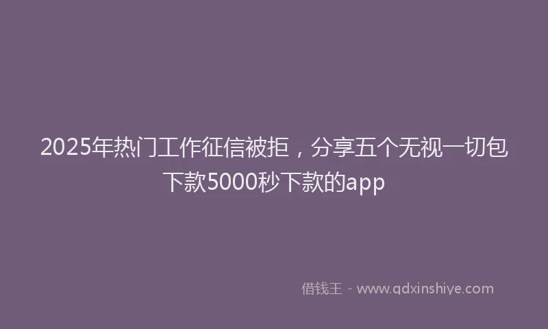 2025年热门工作征信被拒，分享五个无视一切包下款5000秒下款的app