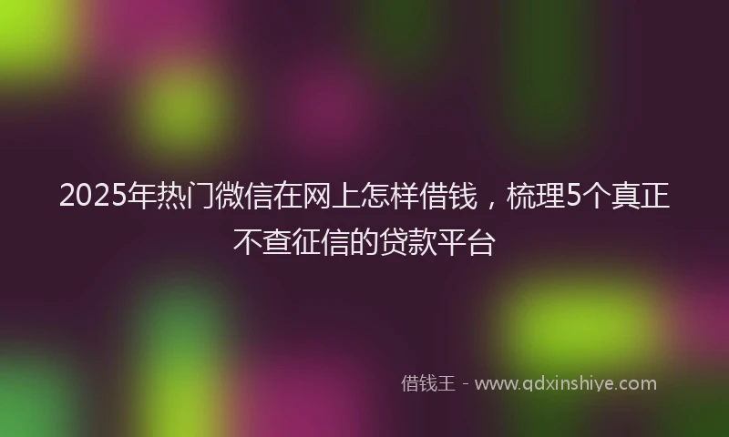2025年热门微信在网上怎样借钱，梳理5个真正不查征信的贷款平台