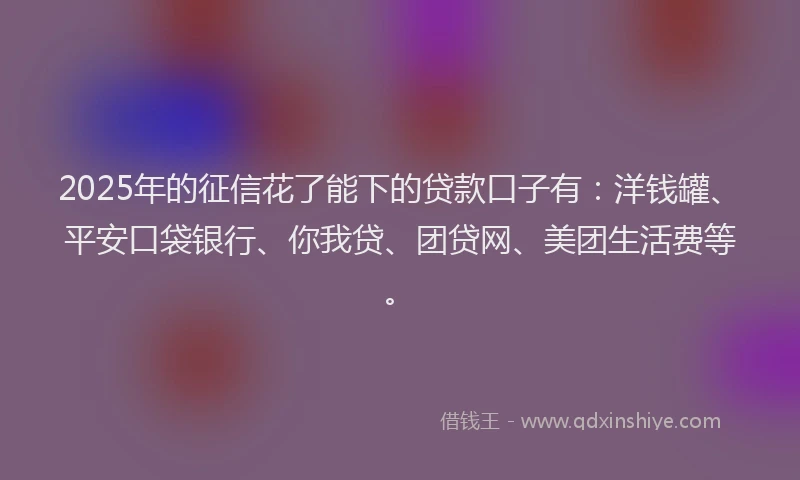 2025年的征信花了能下的贷款口子有：洋钱罐、平安口袋银行、你我贷、团贷网、美团生活费等。