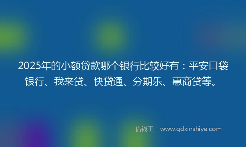 2025年的小额贷款哪个银行比较好有：平安口袋银行、我来贷、快贷通、分期乐、惠商贷等。