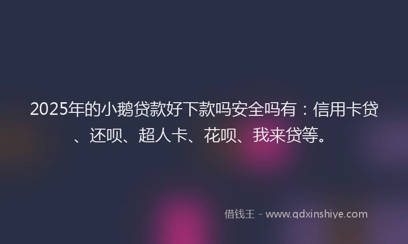 2025年的小鹅贷款好下款吗安全吗有：信用卡贷、还呗、超人卡、花呗、我来贷等。