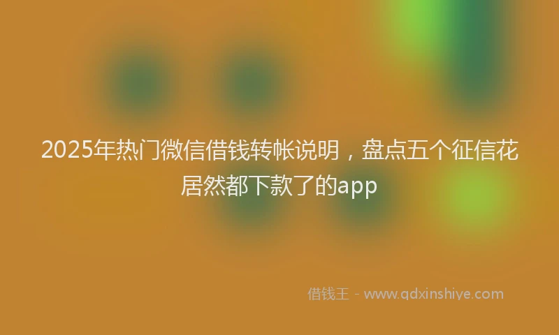 2025年热门微信借钱转帐说明，盘点五个征信花居然都下款了的app