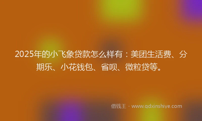 2025年的小飞象贷款怎么样有：美团生活费、分期乐、小花钱包、省呗、微粒贷等。