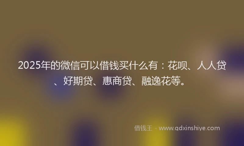 2025年的微信可以借钱买什么有：花呗、人人贷、好期贷、惠商贷、融逸花等。