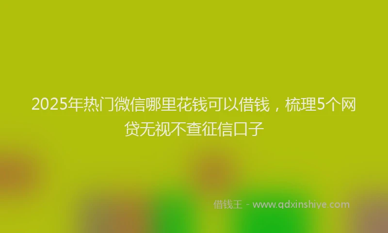 2025年热门微信哪里花钱可以借钱，梳理5个网贷无视不查征信口子