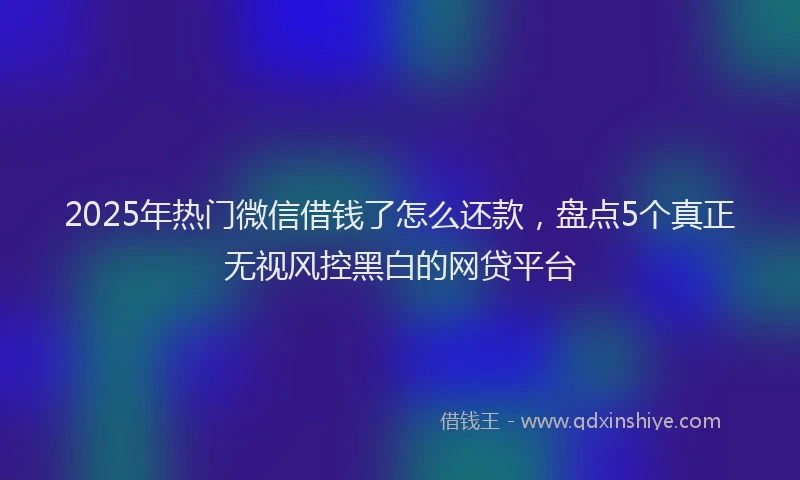 2025年热门微信借钱了怎么还款，盘点5个真正无视风控黑白的网贷平台