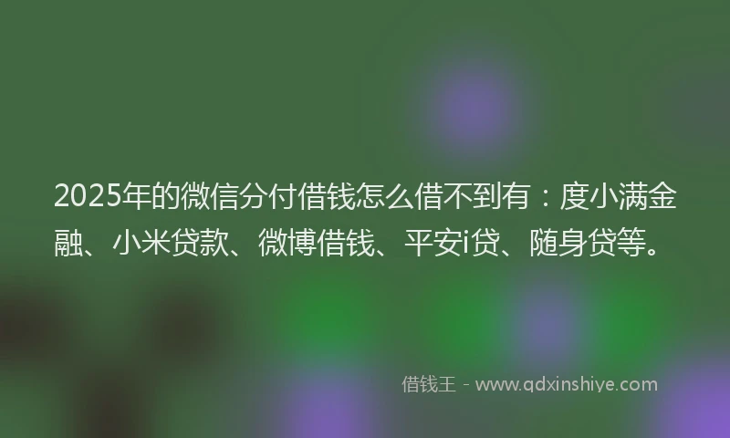 2025年的微信分付借钱怎么借不到有：度小满金融、小米贷款、微博借钱、平安i贷、随身贷等。