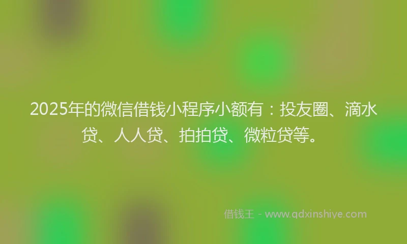 2025年的微信借钱小程序小额有：投友圈、滴水贷、人人贷、拍拍贷、微粒贷等。