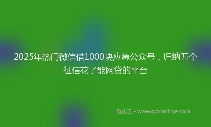2025年热门微信借1000块应急公众号，归纳五个征信花了能网贷的平台