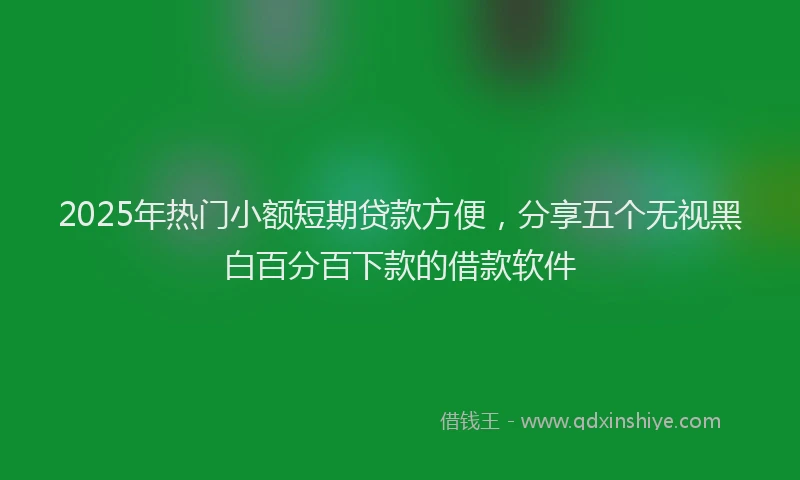 2025年热门小额短期贷款方便，分享五个无视黑白百分百下款的借款软件
