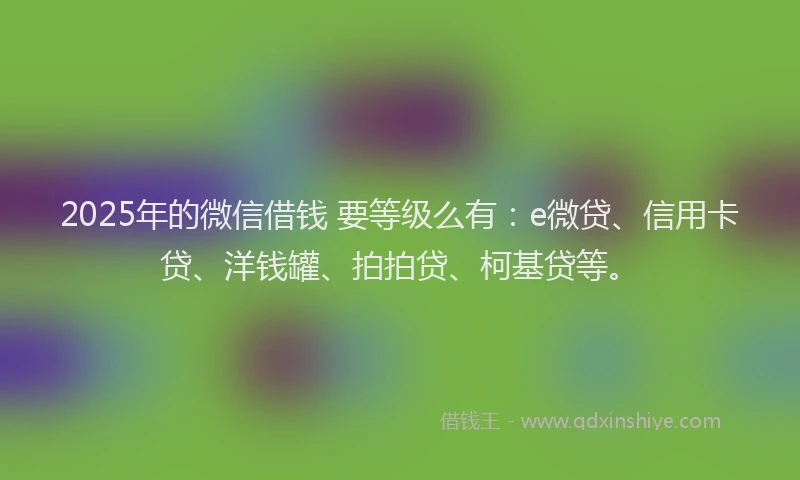 2025年的微信借钱 要等级么有：e微贷、信用卡贷、洋钱罐、拍拍贷、柯基贷等。