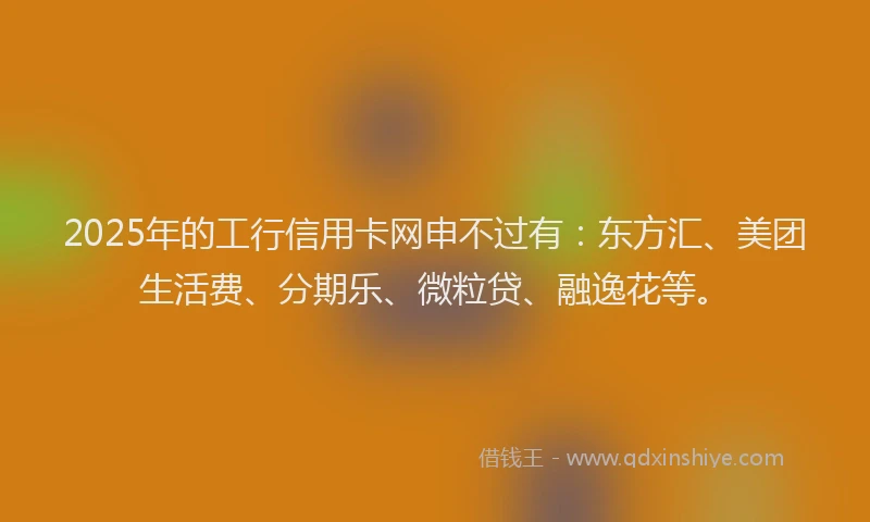 2025年的工行信用卡网申不过有：东方汇、美团生活费、分期乐、微粒贷、融逸花等。