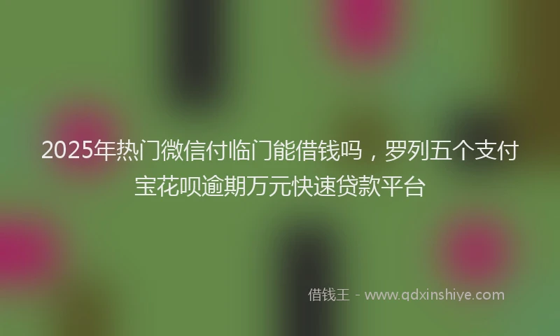 2025年热门微信付临门能借钱吗，罗列五个支付宝花呗逾期万元快速贷款平台