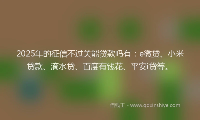 2025年的征信不过关能贷款吗有：e微贷、小米贷款、滴水贷、百度有钱花、平安i贷等。
