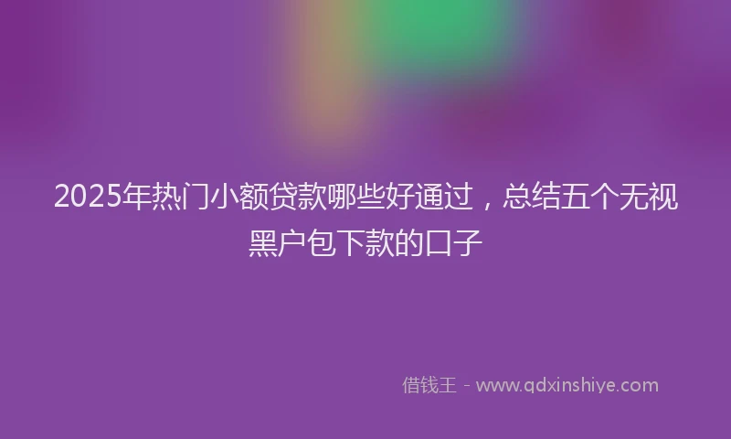 2025年热门小额贷款哪些好通过，总结五个无视黑户包下款的口子