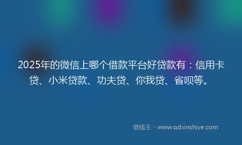 2025年的微信上哪个借款平台好贷款有：信用卡贷、小米贷款、功夫贷、你我贷、省呗等。
