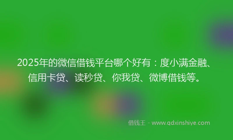 2025年的微信借钱平台哪个好有：度小满金融、信用卡贷、读秒贷、你我贷、微博借钱等。