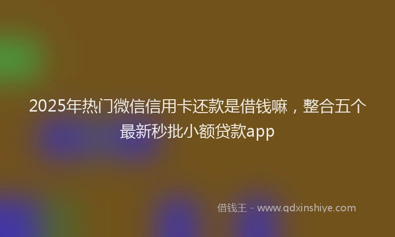 2025年热门微信信用卡还款是借钱嘛，整合五个最新秒批小额贷款app