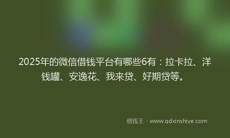 2025年的微信借钱平台有哪些6有：拉卡拉、洋钱罐、安逸花、我来贷、好期贷等。