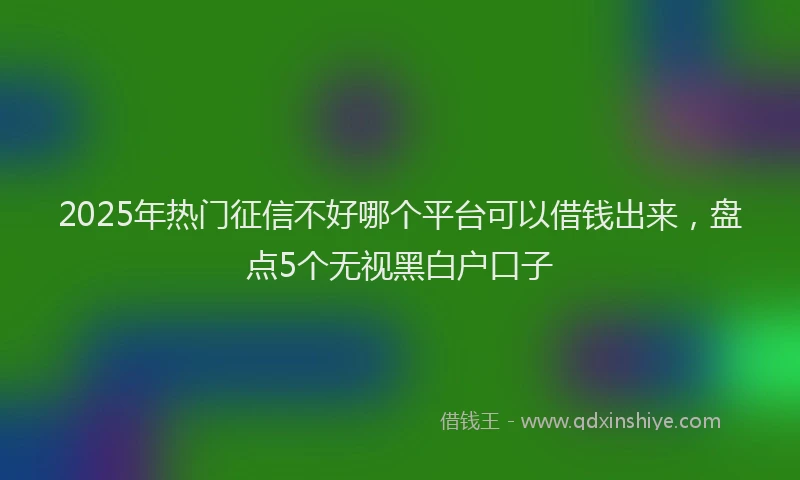 2025年热门征信不好哪个平台可以借钱出来，盘点5个无视黑白户口子