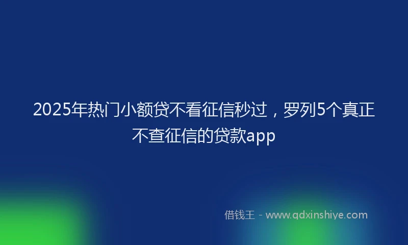 2025年热门小额贷不看征信秒过，罗列5个真正不查征信的贷款app