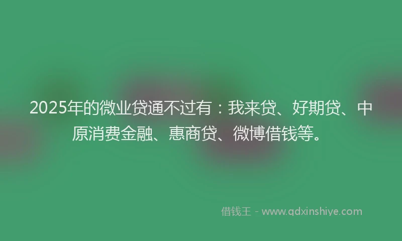 2025年的微业贷通不过有：我来贷、好期贷、中原消费金融、惠商贷、微博借钱等。