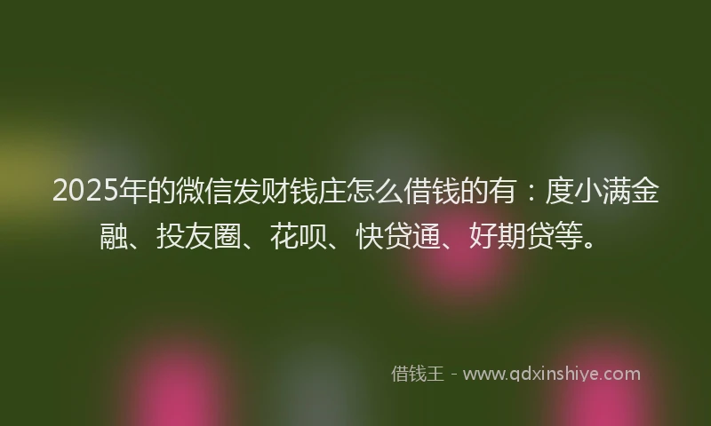 2025年的微信发财钱庄怎么借钱的有：度小满金融、投友圈、花呗、快贷通、好期贷等。