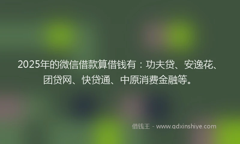 2025年的微信借款算借钱有：功夫贷、安逸花、团贷网、快贷通、中原消费金融等。