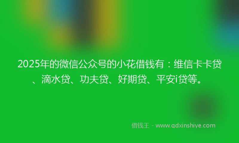 2025年的微信公众号的小花借钱有：维信卡卡贷、滴水贷、功夫贷、好期贷、平安i贷等。