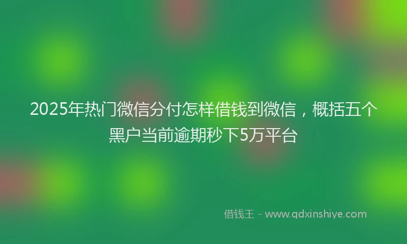 2025年热门微信分付怎样借钱到微信，概括五个黑户当前逾期秒下5万平台