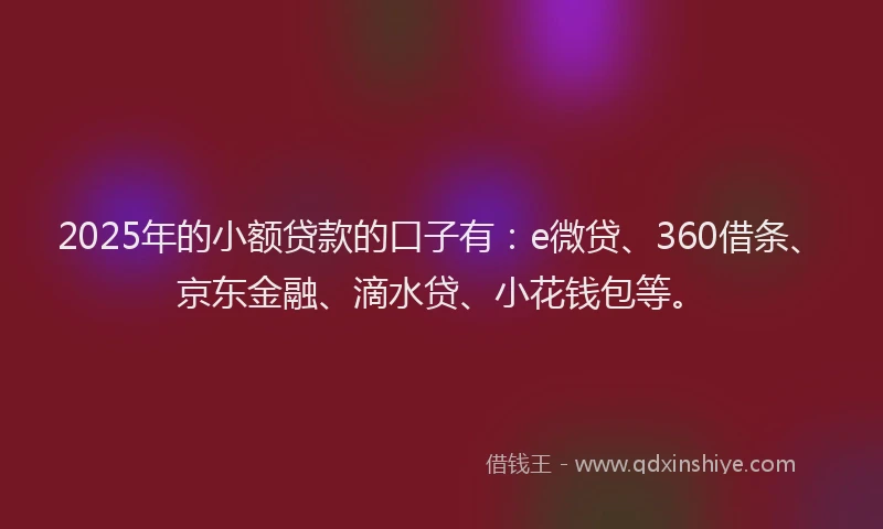2025年的小额贷款的口子有：e微贷、360借条、京东金融、滴水贷、小花钱包等。