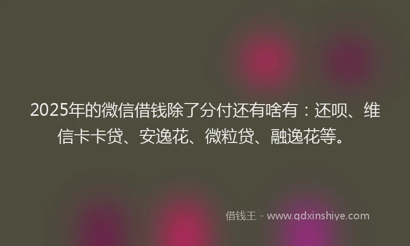 2025年的微信借钱除了分付还有啥有：还呗、维信卡卡贷、安逸花、微粒贷、融逸花等。