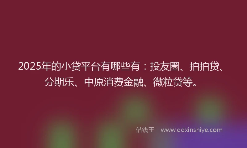 2025年的小贷平台有哪些有：投友圈、拍拍贷、分期乐、中原消费金融、微粒贷等。