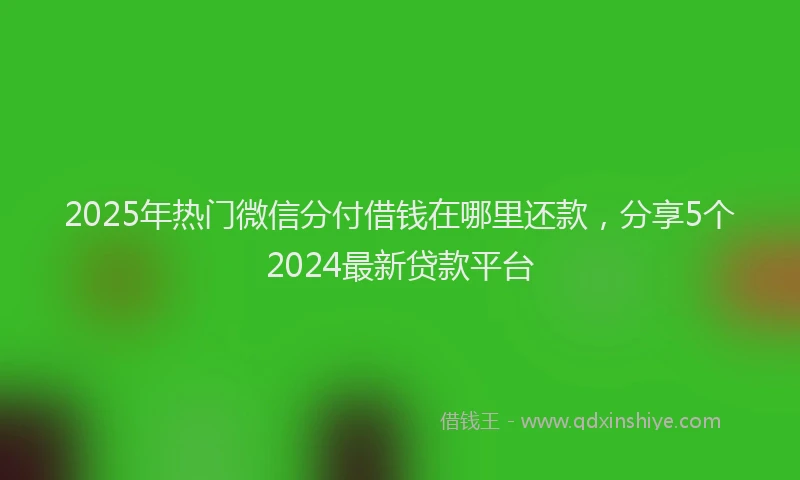 2025年热门微信分付借钱在哪里还款，分享5个2024最新贷款平台