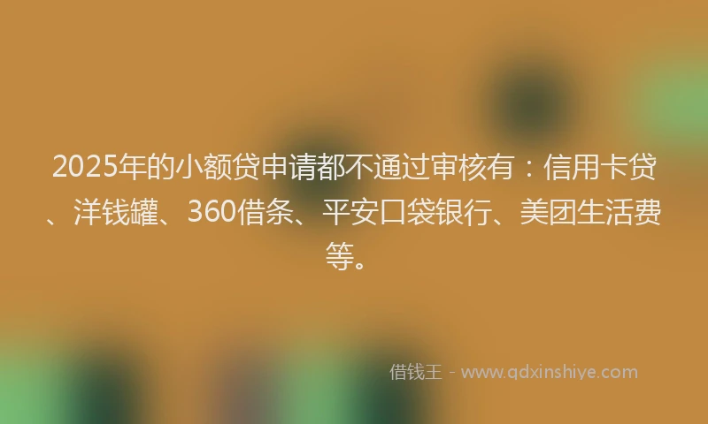 2025年的小额贷申请都不通过审核有：信用卡贷、洋钱罐、360借条、平安口袋银行、美团生活费等。