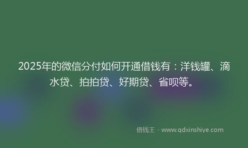 2025年的微信分付如何开通借钱有：洋钱罐、滴水贷、拍拍贷、好期贷、省呗等。