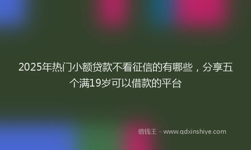2025年热门小额贷款不看征信的有哪些，分享五个满19岁可以借款的平台