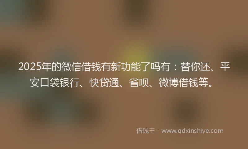 2025年的微信借钱有新功能了吗有：替你还、平安口袋银行、快贷通、省呗、微博借钱等。