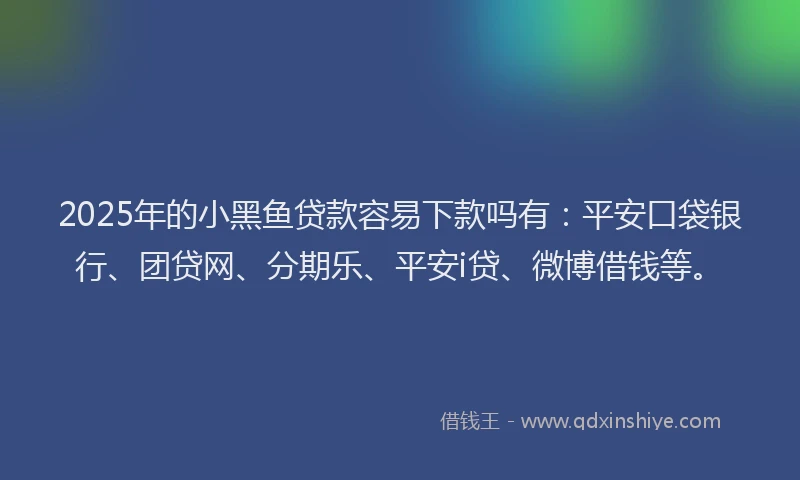 2025年的小黑鱼贷款容易下款吗有：平安口袋银行、团贷网、分期乐、平安i贷、微博借钱等。