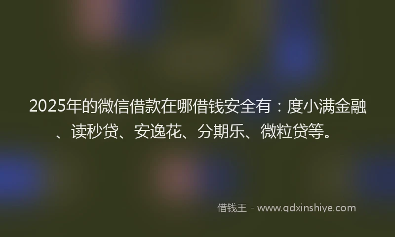 2025年的微信借款在哪借钱安全有：度小满金融、读秒贷、安逸花、分期乐、微粒贷等。