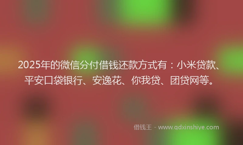 2025年的微信分付借钱还款方式有：小米贷款、平安口袋银行、安逸花、你我贷、团贷网等。