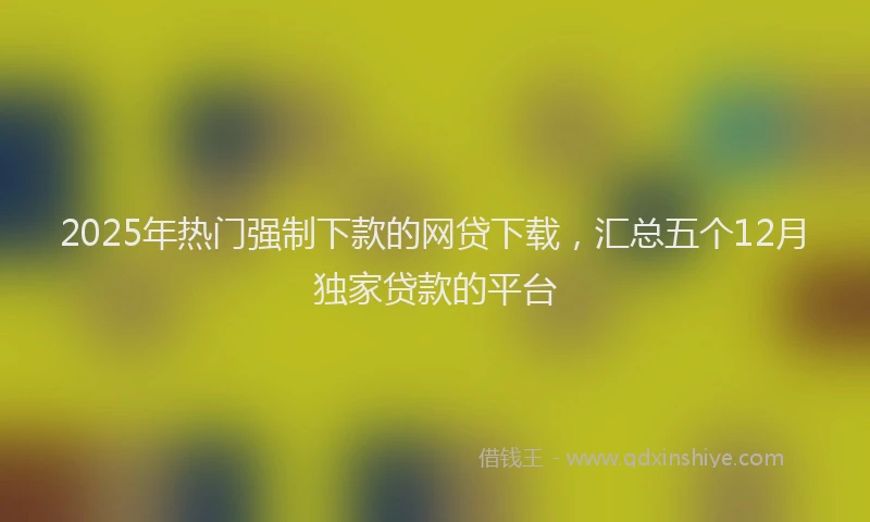 2025年热门强制下款的网贷下载，汇总五个12月独家贷款的平台