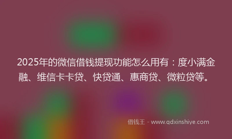 2025年的微信借钱提现功能怎么用有：度小满金融、维信卡卡贷、快贷通、惠商贷、微粒贷等。